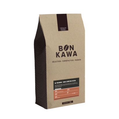 Bonkawa - République Dominicaine - Iguana