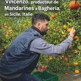 Vincenzo, notre producteur de Mandarine