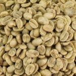 Grain de café avant torréfaction : à quoi cela ressemble ?