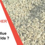 Quel est le café le plus cher du Monde ? L'analyse Bonkawa.