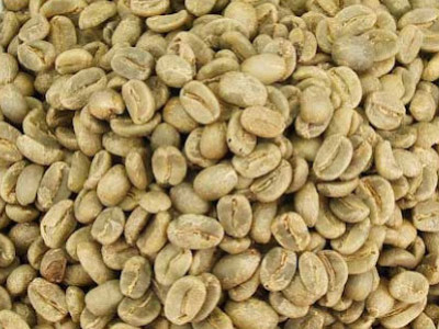 A quoi ressemble le grain de café avant torréfaction ?